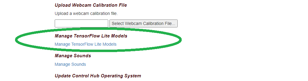 TensorFlow Lite Model Management
